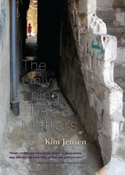 Cover image for book The Only Thing That Matters