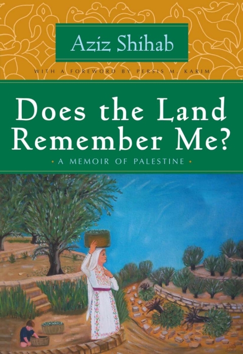 Cover image for book Does the Land Remember Me?