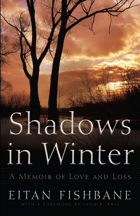 Cover image for book Shadows in Winter