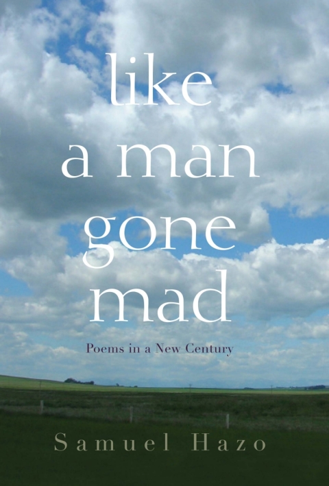 Cover image for book Like a Man Gone Mad