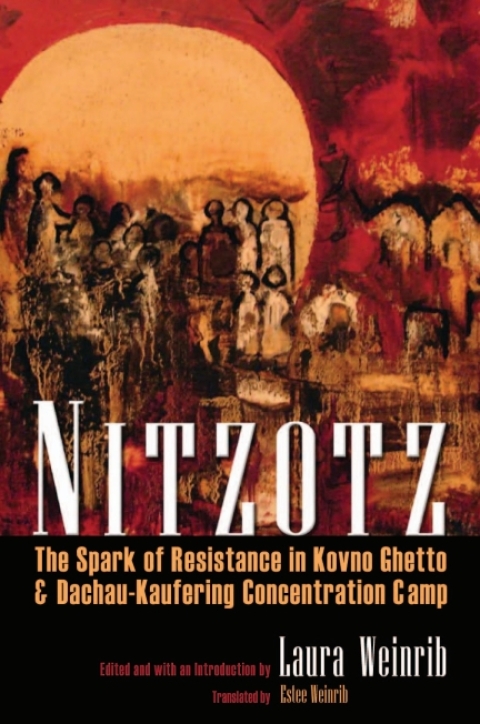 Cover image for book Nitzotz