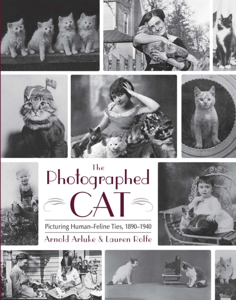 Cover image for book The Photographed Cat