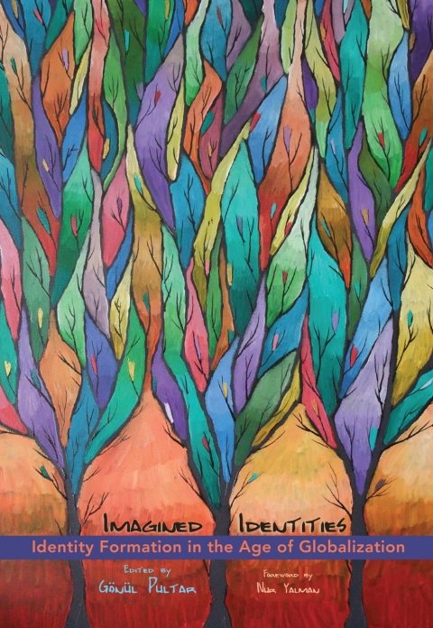 Cover image for book Imagined Identities