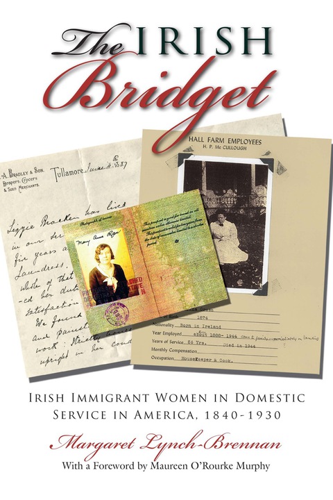 Cover image for book The Irish Bridget
