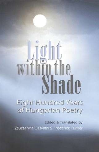 Light within the Shade