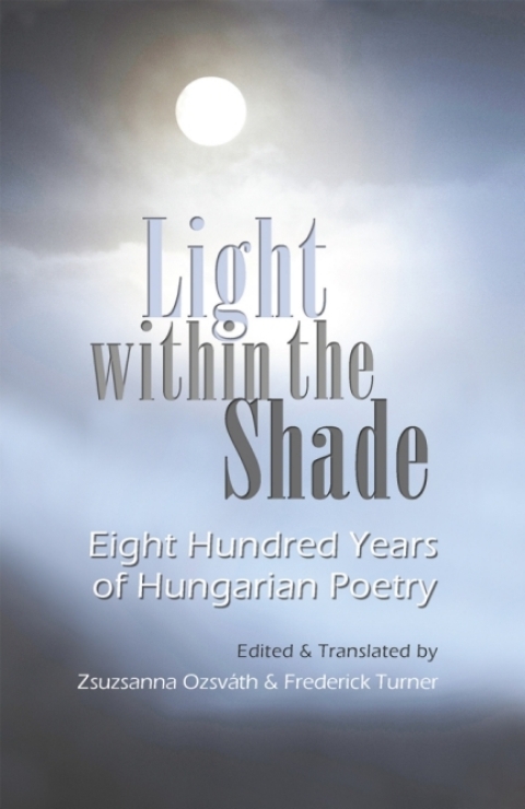 Cover image for book Light within the Shade