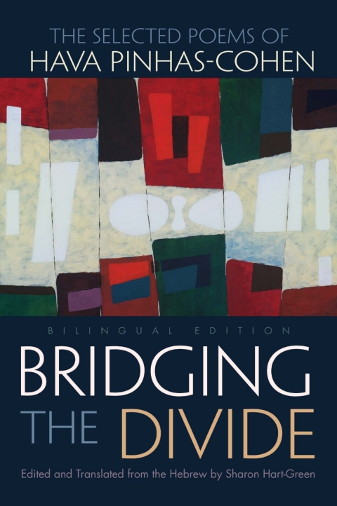 Cover image for book Bridging the Divide