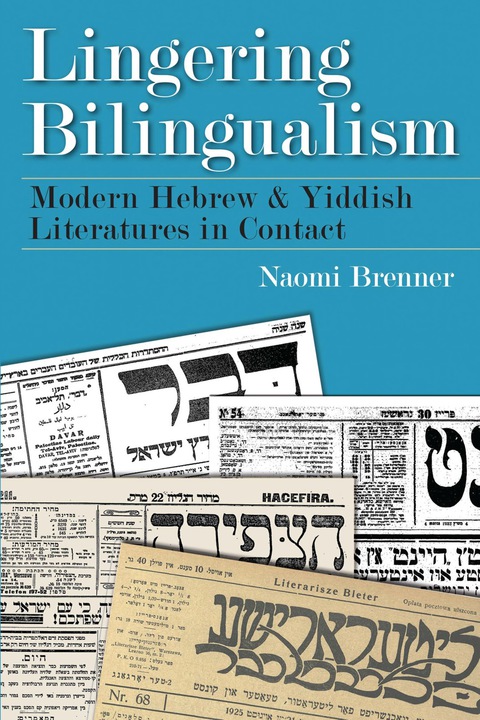 Cover image for book Lingering Bilingualism