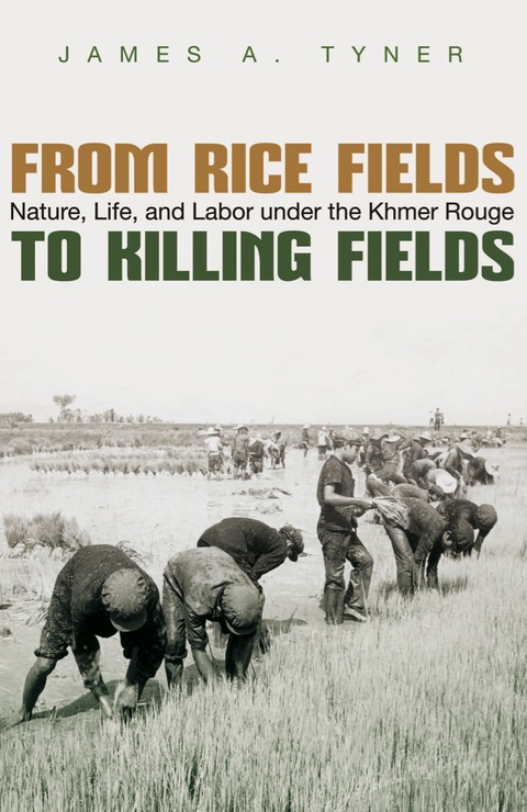 Cover image for book From Rice Fields to Killing Fields