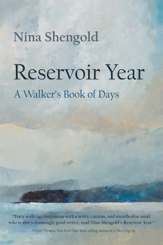 Reservoir Year