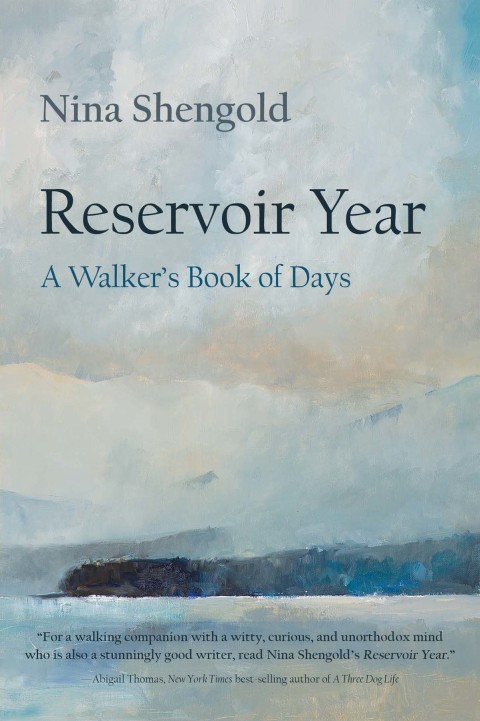 Cover image for book Reservoir Year