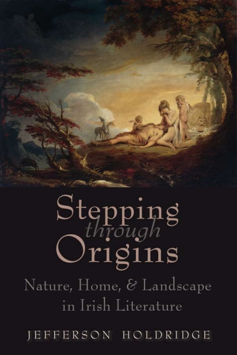 Cover image for book Stepping through Origins