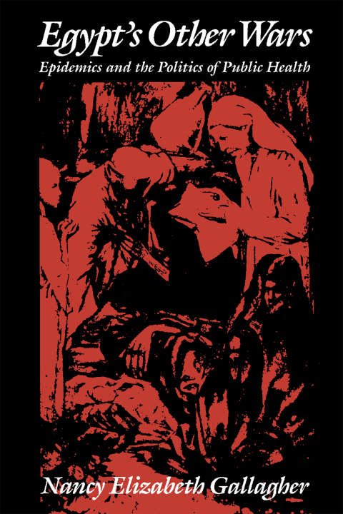 Cover image for book Egypt's Other Wars