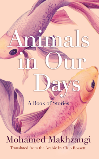 Animals in Our Days