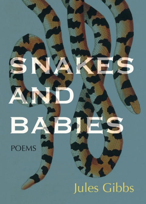 Cover image for book Snakes and Babies
