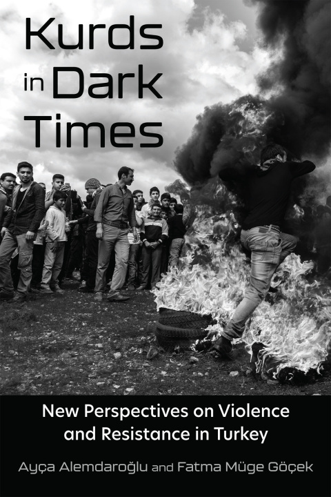 Cover image for book Kurds in Dark Times