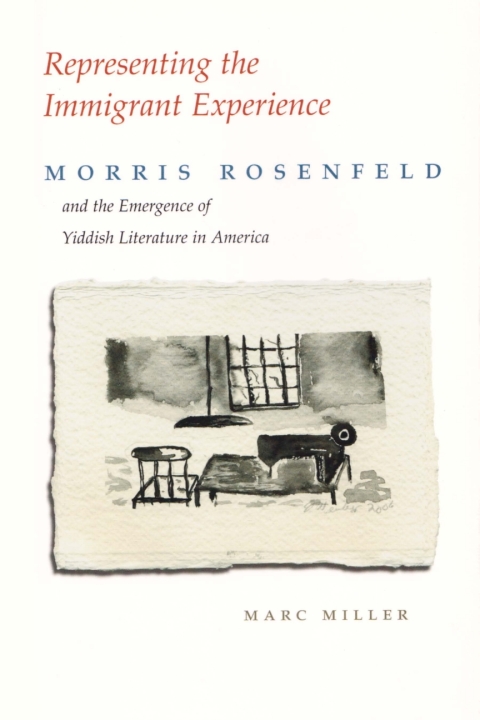 Cover image for book Representing the Immigrant Experience