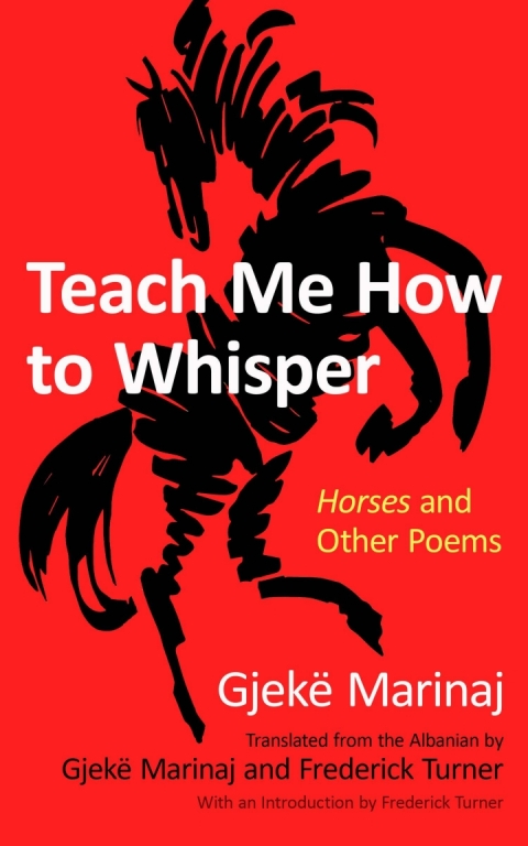 Cover image for book Teach Me How to Whisper