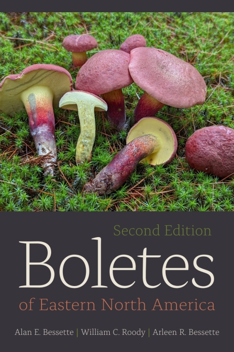 Cover image for book Boletes of Eastern North America