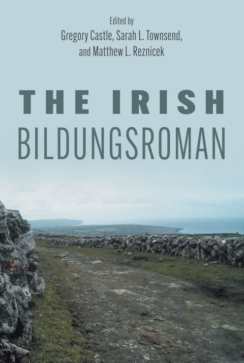 Cover image for book The Irish Bildungsroman