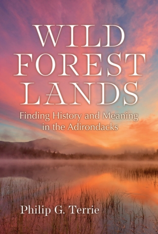 Wild Forest Lands