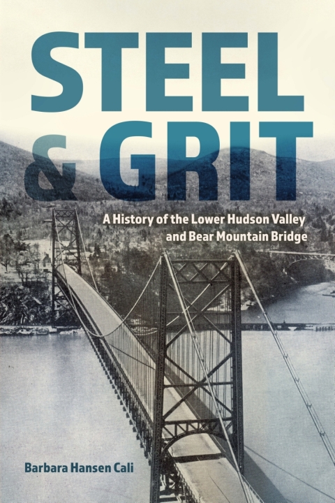 Cover image for book Steel and Grit