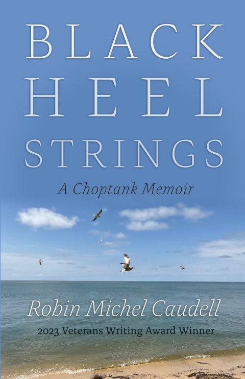 Cover image for book Black Heel Strings