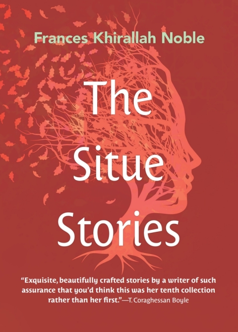 Cover image for book The Situe Stories