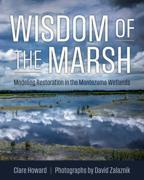 Cover image for book Wisdom of the Marsh