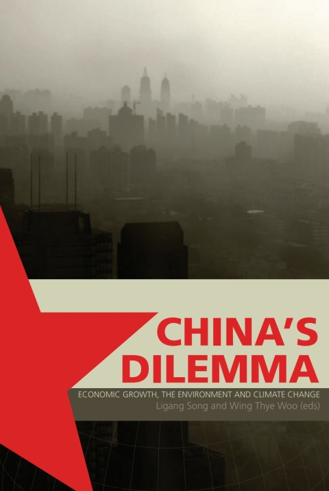 Cover image for book China's Dilemma