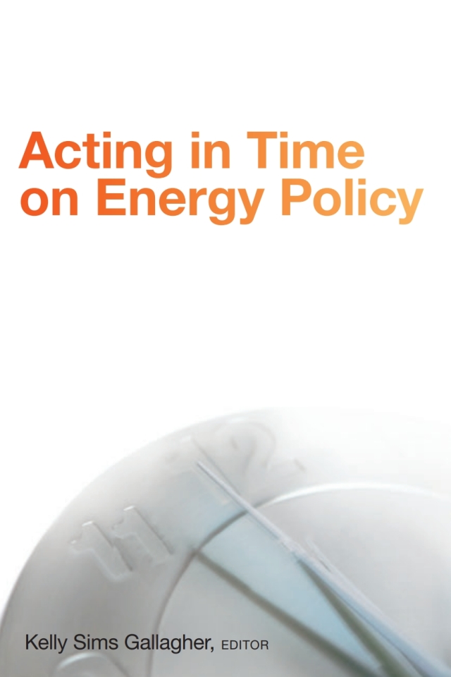 Acting in Time on Energy Policy