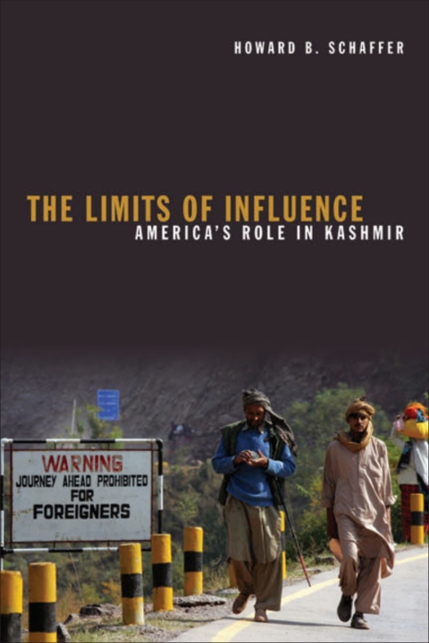 Cover image for book The Limits of Influence