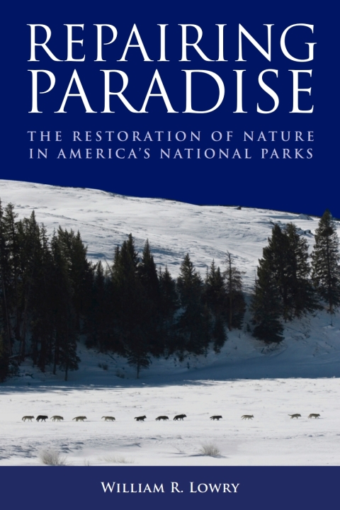 Cover image for book Repairing Paradise