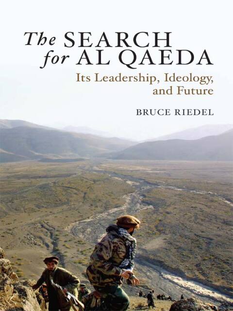 Cover image for book The Search for Al Qaeda