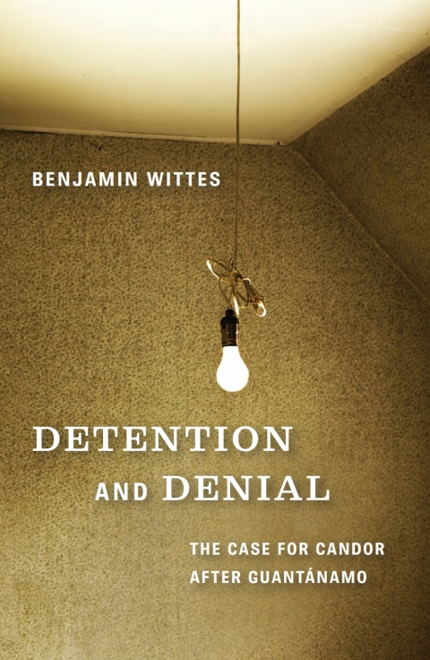 Cover image for book Detention and Denial