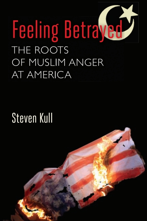 Cover image for book Feeling Betrayed