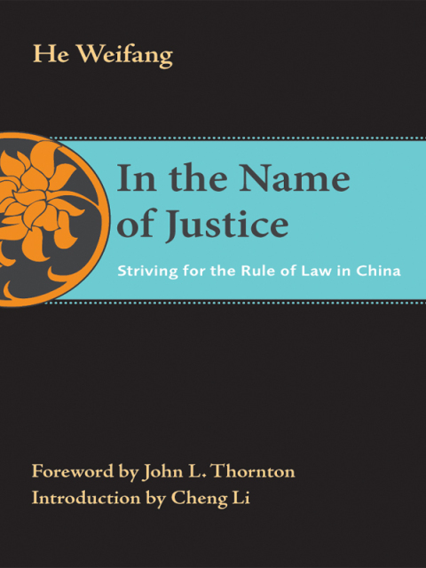 Cover image for book In the Name of Justice