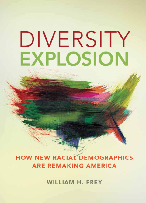 Cover image for book Diversity Explosion