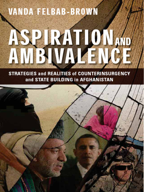 Cover image for book Aspiration and Ambivalence