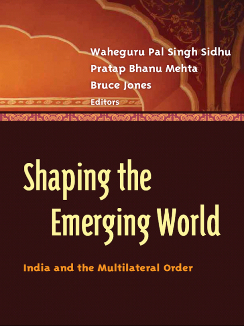Shaping the Emerging World 