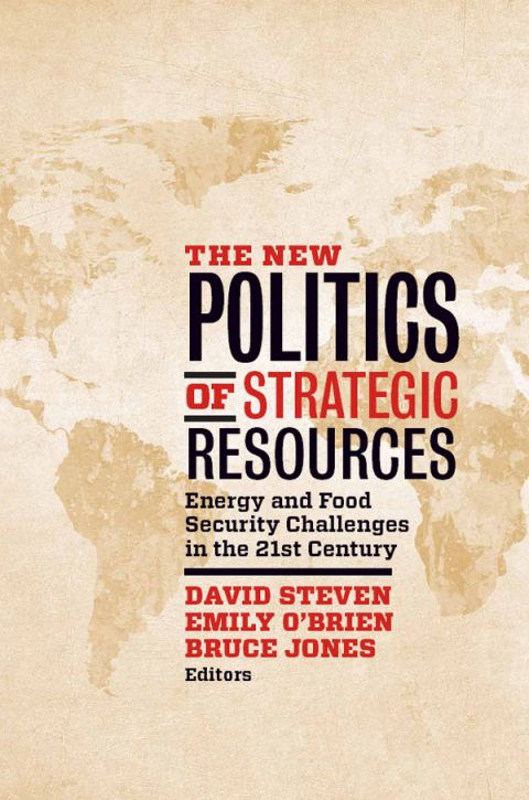 Cover image for book The New Politics of Strategic Resources