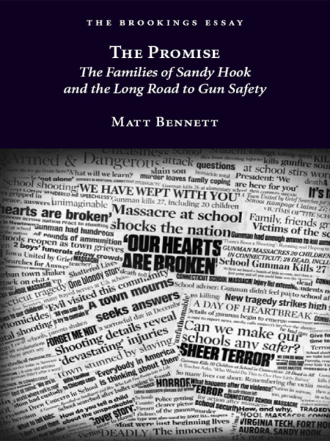 Cover image for book The Promise