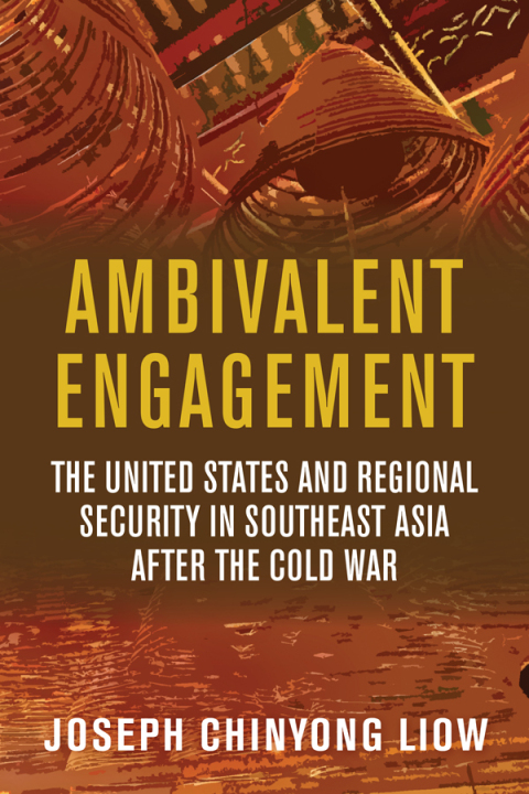 Cover image for book Ambivalent Engagement