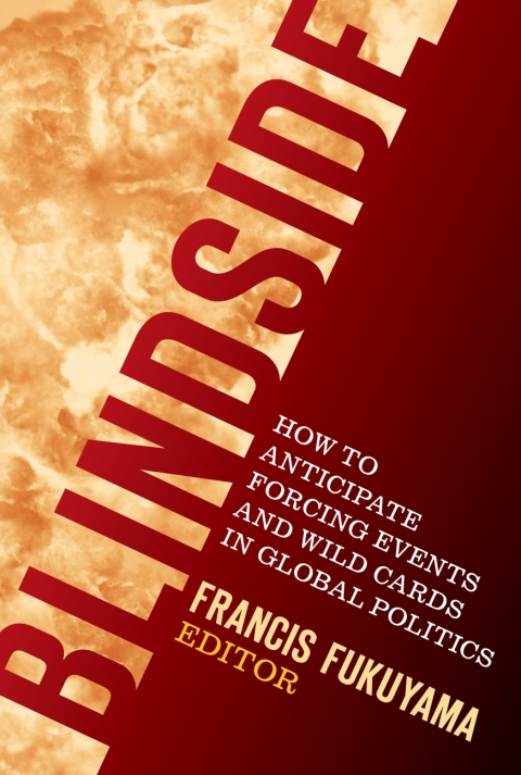 Cover image for book Blindside