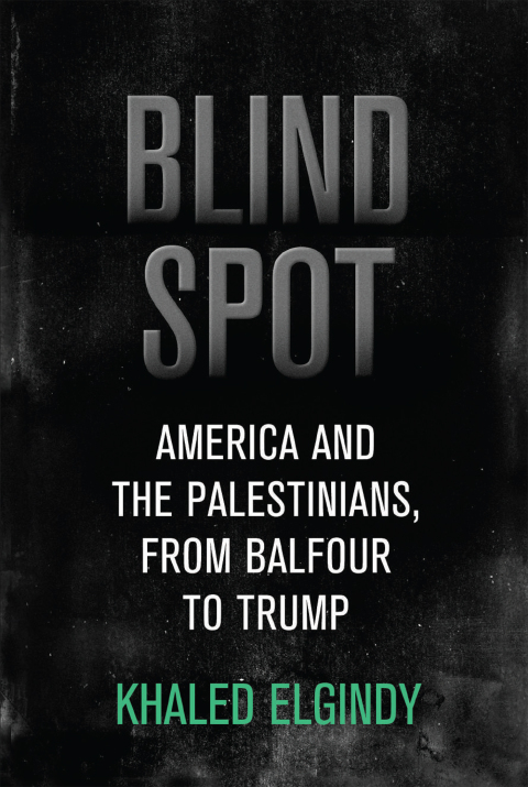 Cover image for book Blind Spot