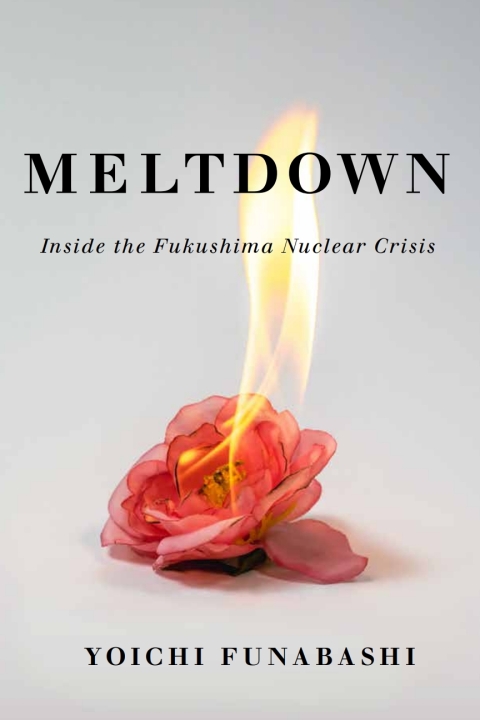 Cover image for book Meltdown