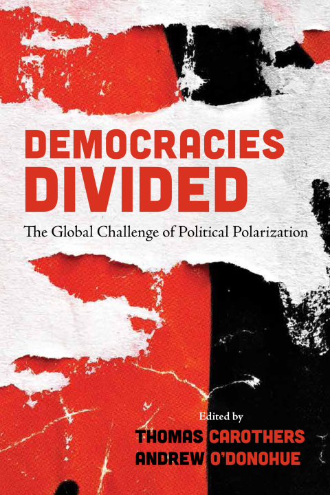 Cover image for book Democracies Divided