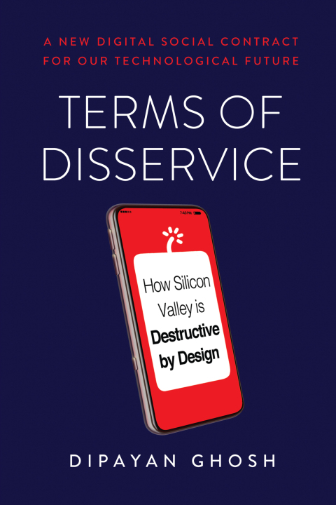 Cover image for book Terms of Disservice