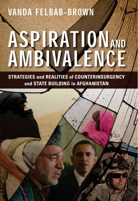 Cover image for book Aspiration and Ambivalence