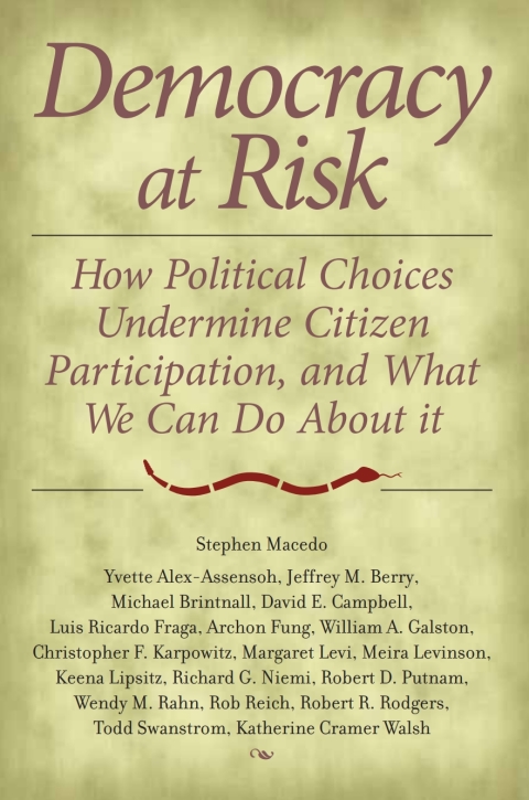 Cover image for book Democracy at Risk